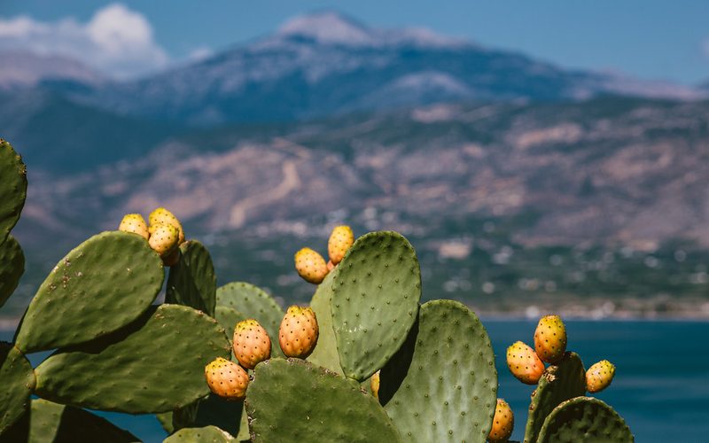Nafplio: A Complete Travel Guide