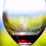 Greek Wine Tours: A Travel Guide