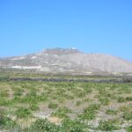 Greek Wine & Vineyards: A Traveller's Guide