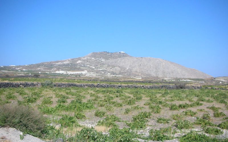 Greek Wine & Vineyards: A Traveller’s Guide